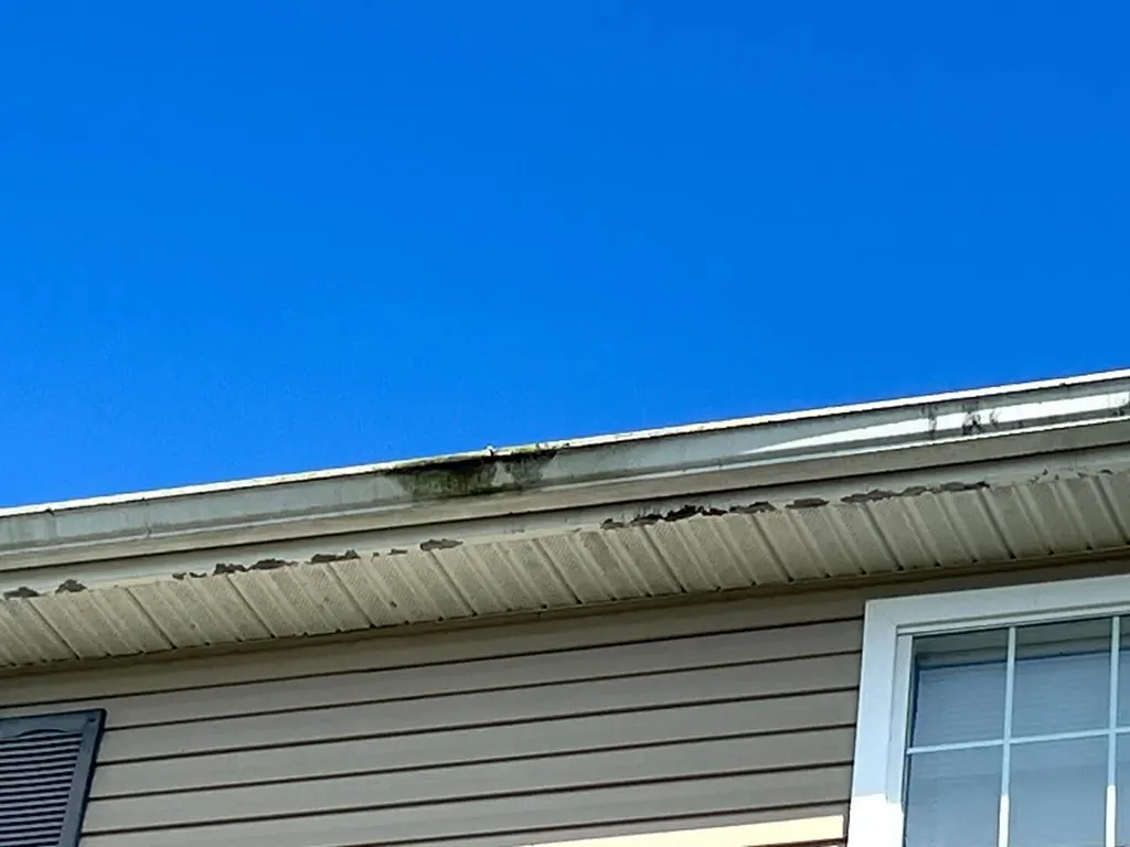 Apartment building siding after washing