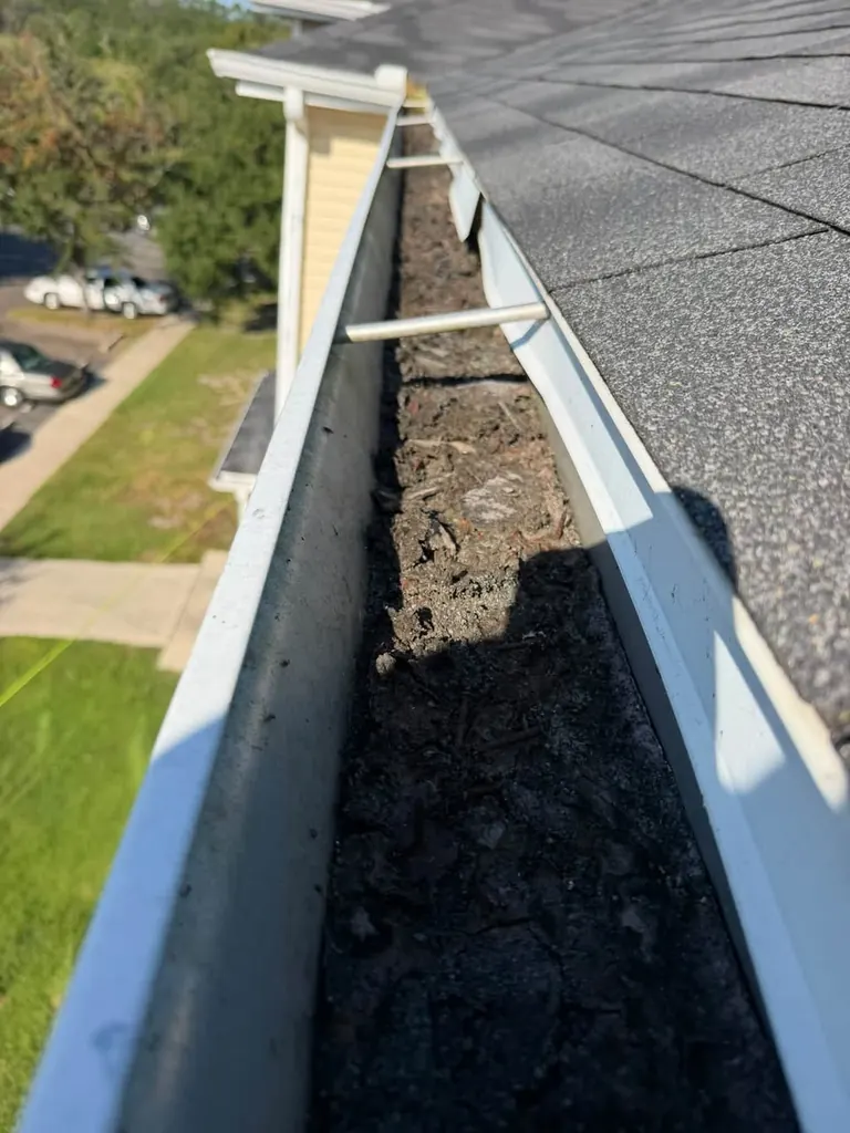 Gutter cleaned out and rinsed