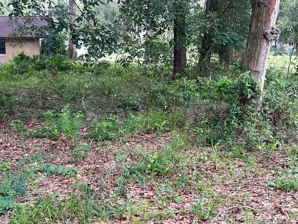 Overgrown lot being cleared
