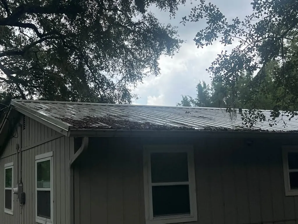 House with trees and a clean exterior